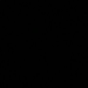 Meet your Posher, Bronte